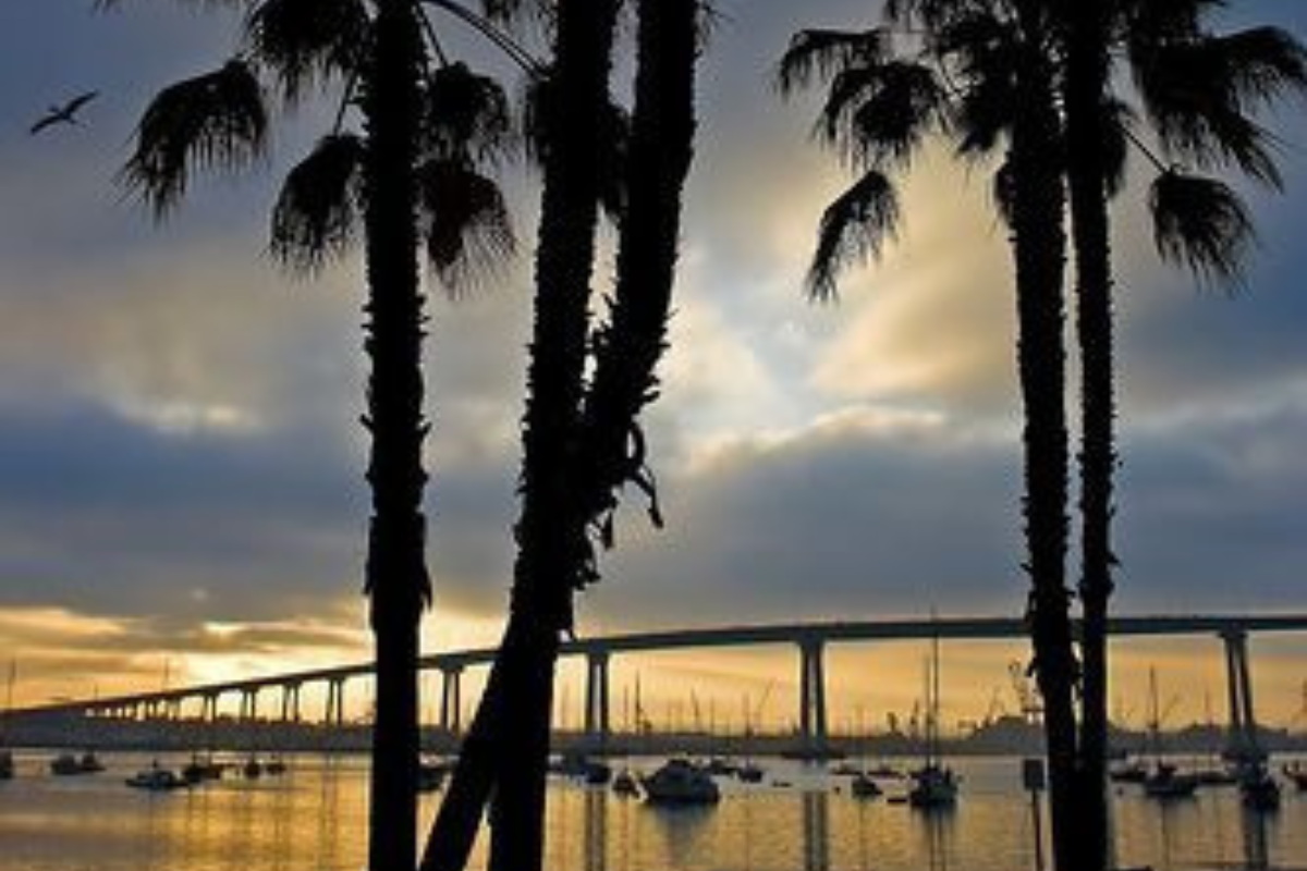 Silhouette of tall palm trees against a sunrise over the bay with the Coronado Bridge in the background.